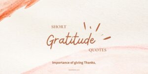 Short Gratitude Quotes - Quotefy